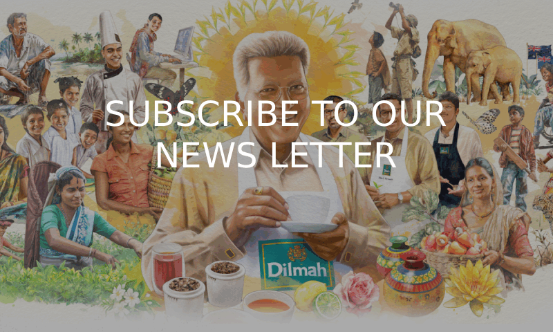 SUBSCRIBE TO OUR NEWS LETTER