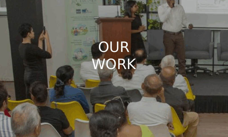 OUR WORK