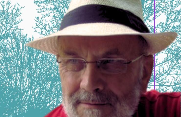 Rainforestation Farming – 29th January 2026